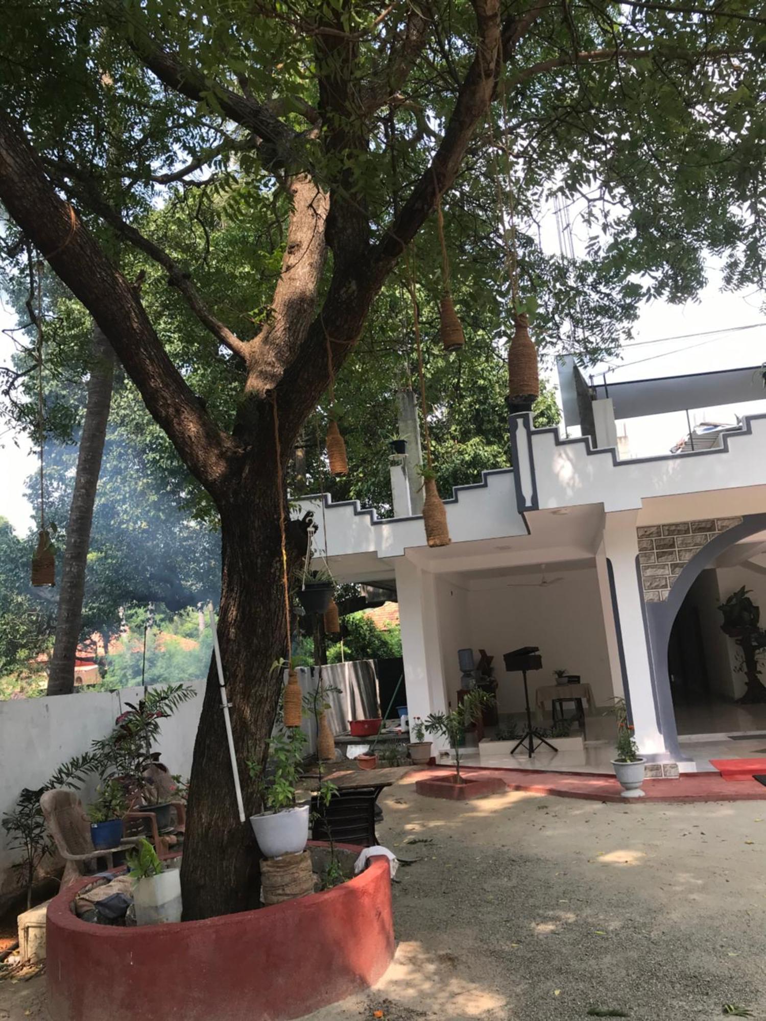 ג'פנה Green Star Villa מראה חיצוני תמונה